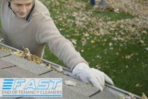 Gutter Cleaning