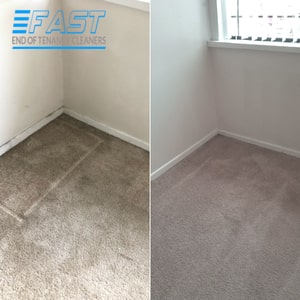 Carpet Cleaning Before and After