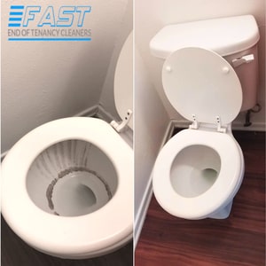 Toilet Cleaning Before and After