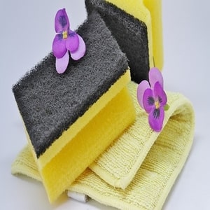 Sponges and Towel