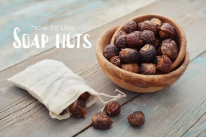 soap nuts